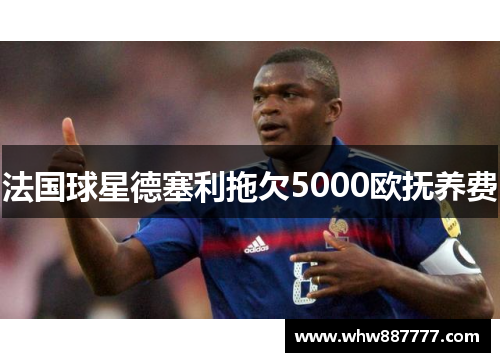 法国球星德塞利拖欠5000欧抚养费